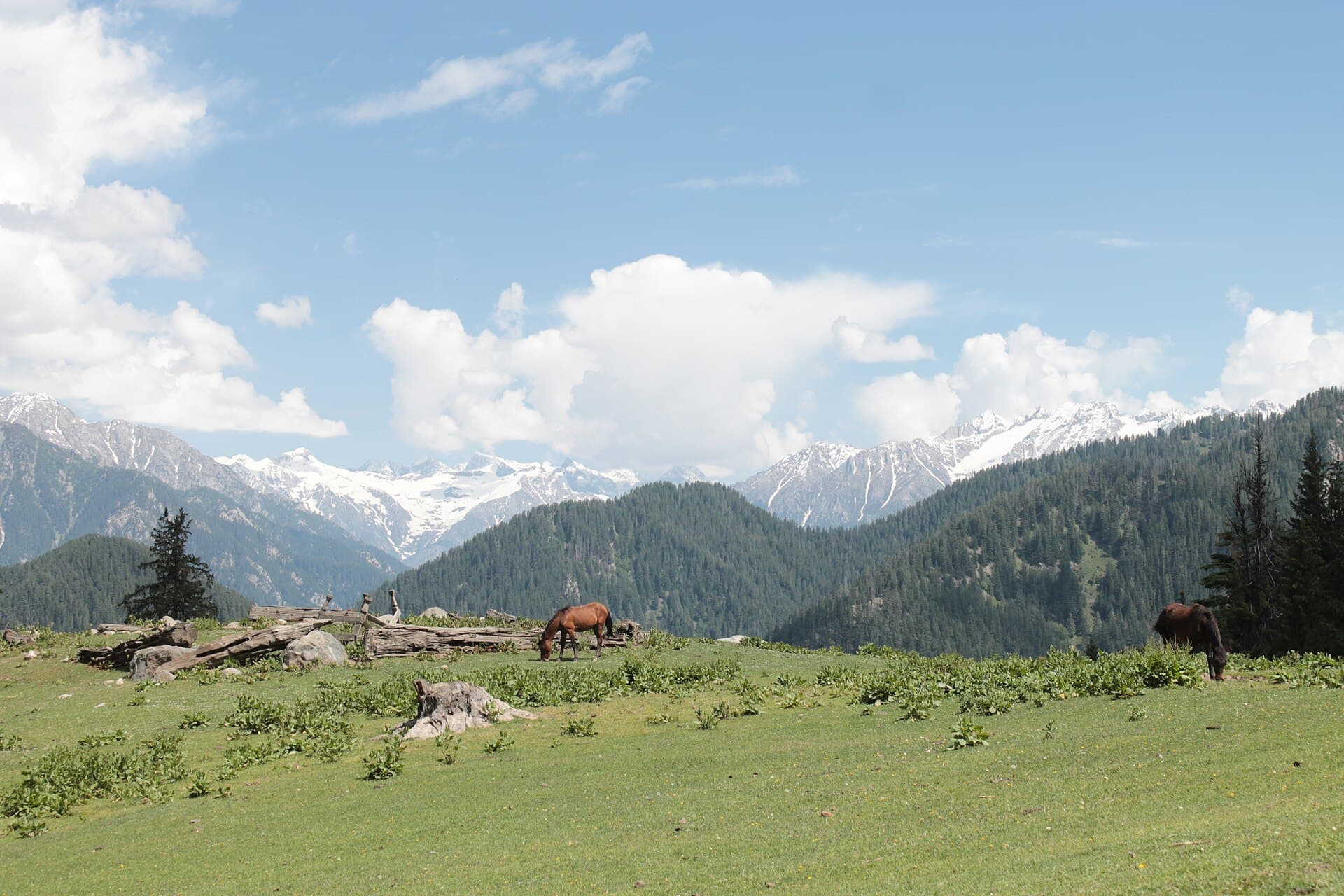 Jazz Banda & Katora Lake scenery with Lexuz Tours