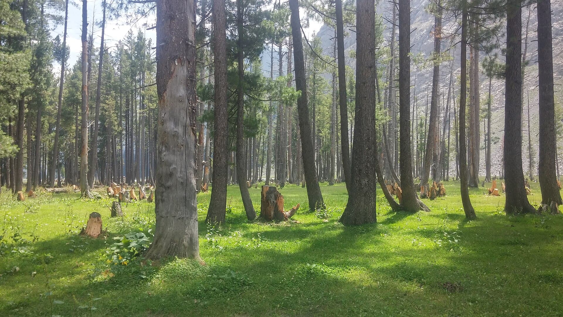 Swat Kalam Mahodand tour