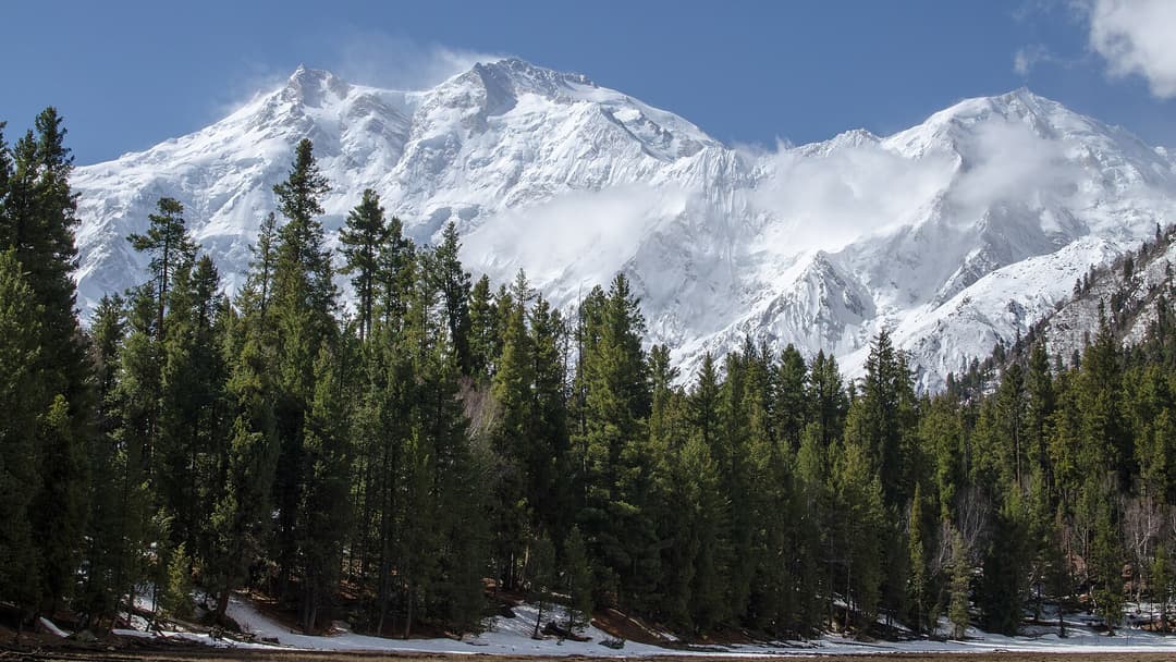 Fairy Meadows scenery