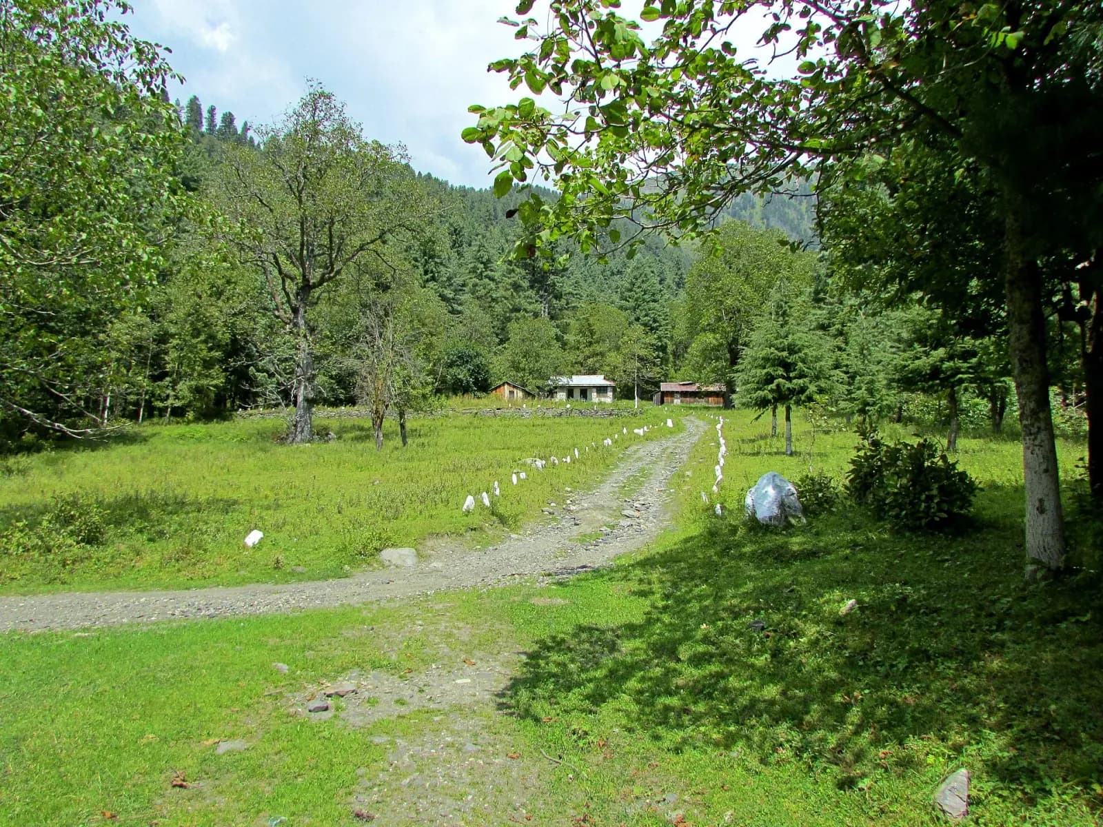 Sharaan Forest & Sharaan Waterfall scenery with Lexuz Tours