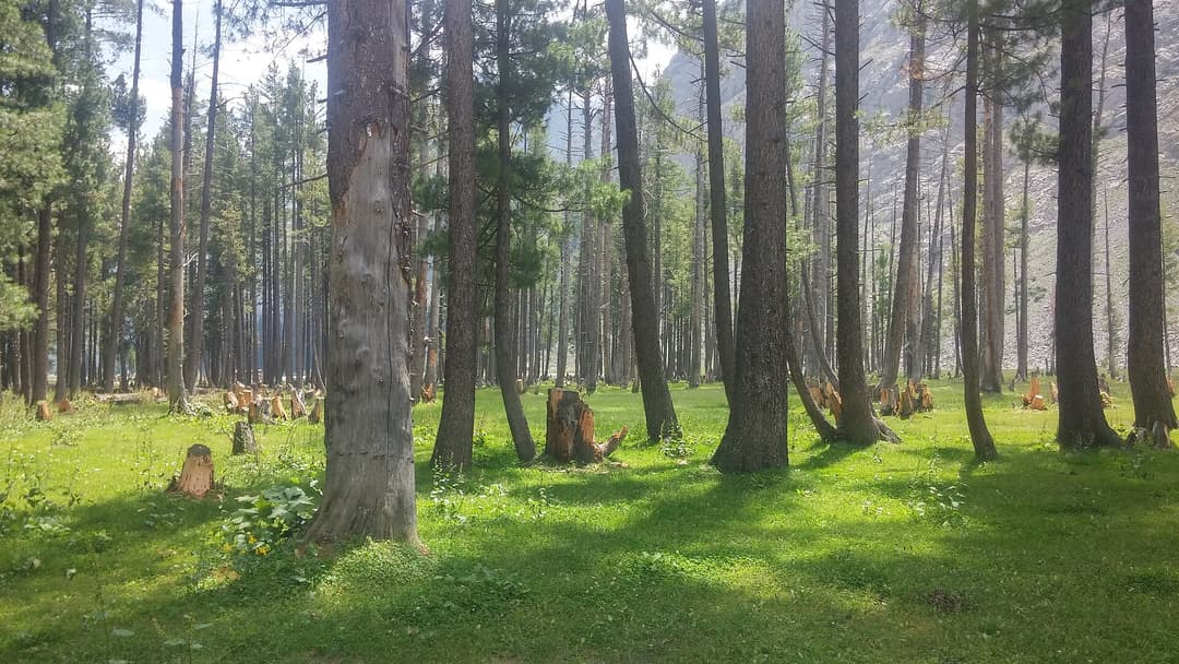 Swat Kalam Mahodand scenery with Lexuz Tours